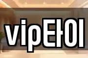 vip타이