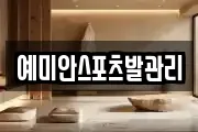 예미안스포츠발관리