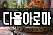 다올아로마