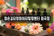 참손길지압마사지힐링센터 마곡점