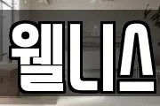웰니스