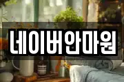네이버안마원