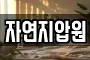 자연지압원