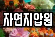 자연지압원