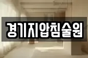 경기지압침술원