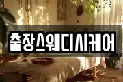 출장스웨디시케어
