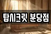 탑시크릿 분당점
