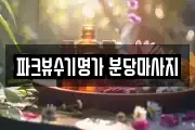파크뷰수기명가 분당마사지