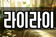 라이라이