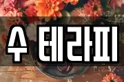수 테라피