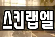 스킨랩엘
