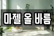 마젤 올 바름
