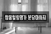 경기 성남시 분당구 수내동 마사지, 지압등 업체정보