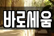 바로세움