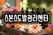 스본스도발관리센타