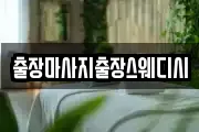 출장마사지출장스웨디시