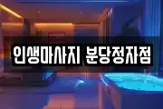 경기 성남시 분당구 정자동 마사지, 지압등 업체정보