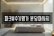 파크뷰수기명가 분당마사지