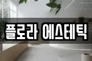 경기 성남시 분당구 판교동 마사지, 지압등 업체정보