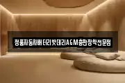 정품자동차배터리밧데리AGM총판장착전문점