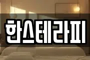 한스테라피
