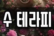수 테라피