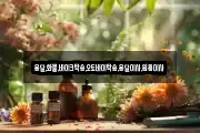 용달,화물,바이크탁송,오토바이탁송,용달이사,원룸이사
