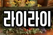 라이라이
