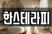 한스테라피