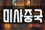 미사중국