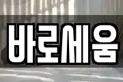 바로세움