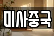 미사중국