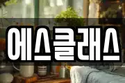 에스클래스
