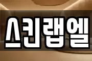 스킨랩엘