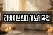 리바이브스파 기노세곡점