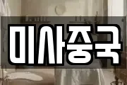 미사중국