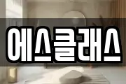 에스클래스
