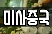 미사중국