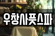 우창사풋스파