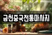 금천중국전통마사지