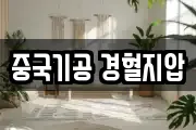 중국기공 경혈지압