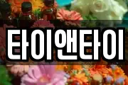 타이앤타이