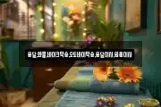 용달,화물,바이크탁송,오토바이탁송,용달이사,원룸이사