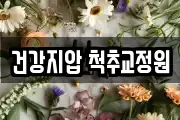 건강지압 척추교정원