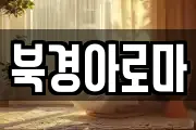 북경아로마