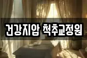 건강지압 척추교정원