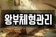 왕부체형관리