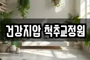 건강지압 척추교정원