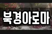 북경아로마