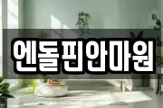 엔돌핀안마원